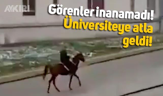 Bolu Abant Zzet Baysal Niversitesi Nde Okula Atla Giden Renci