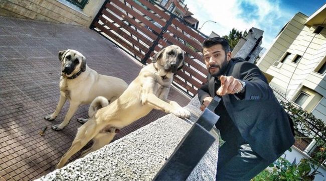 Ünlü oyuncu Rüzgar Aksoy'un elini köpek parçaladı